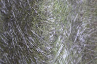 Brondesbury fibreglass roof work